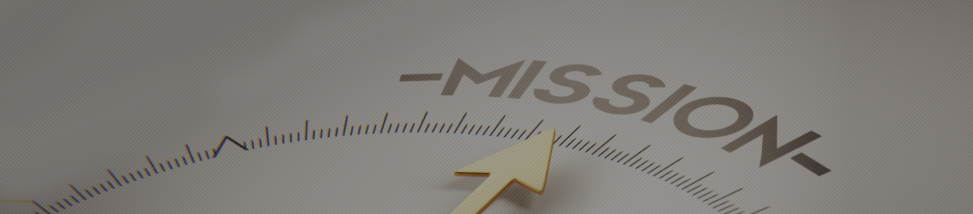 Mission & Vision